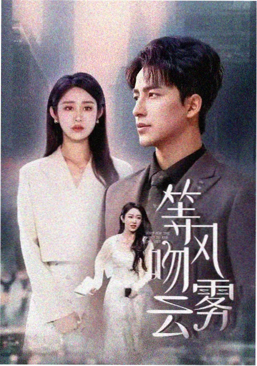 雾城旧案剧集海报