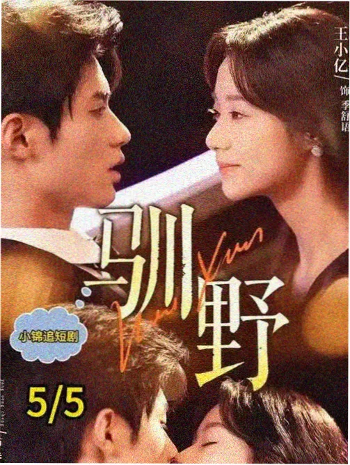 春山可望剧集海报